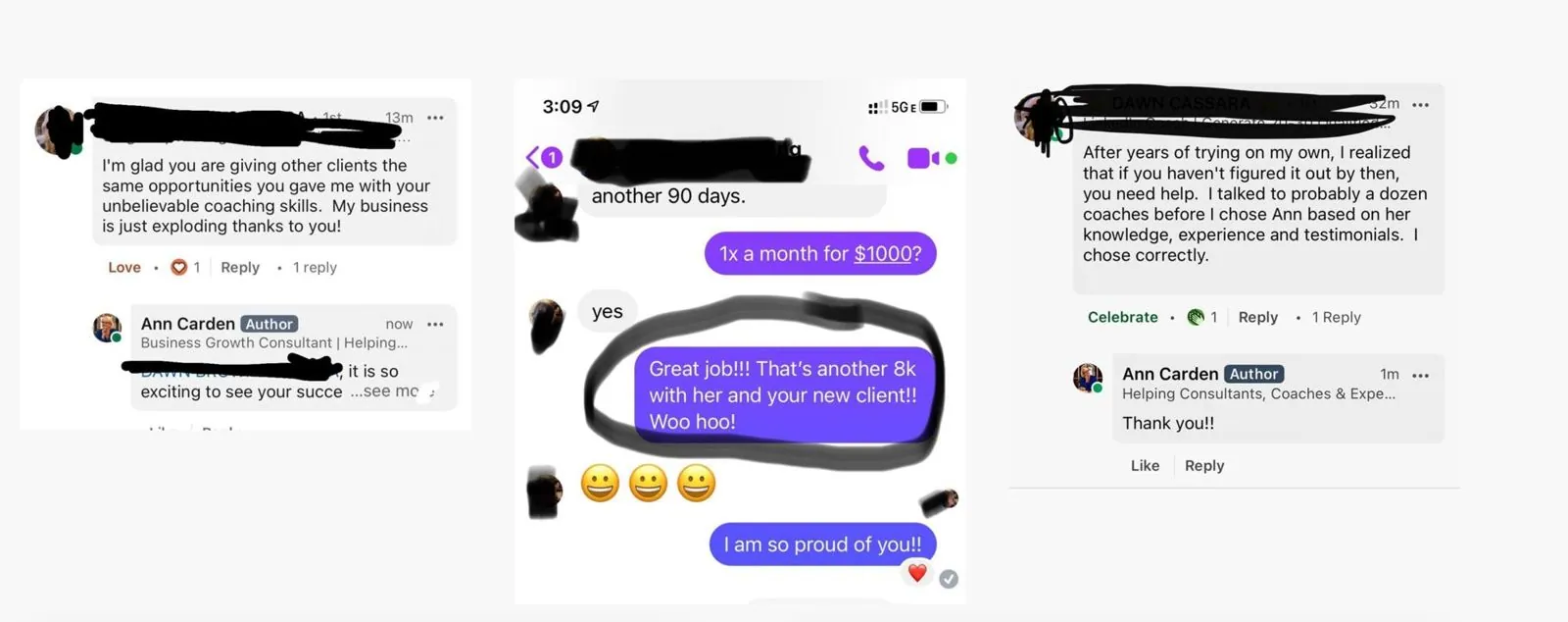 Client messages and LinkedIn comments thanking Ann