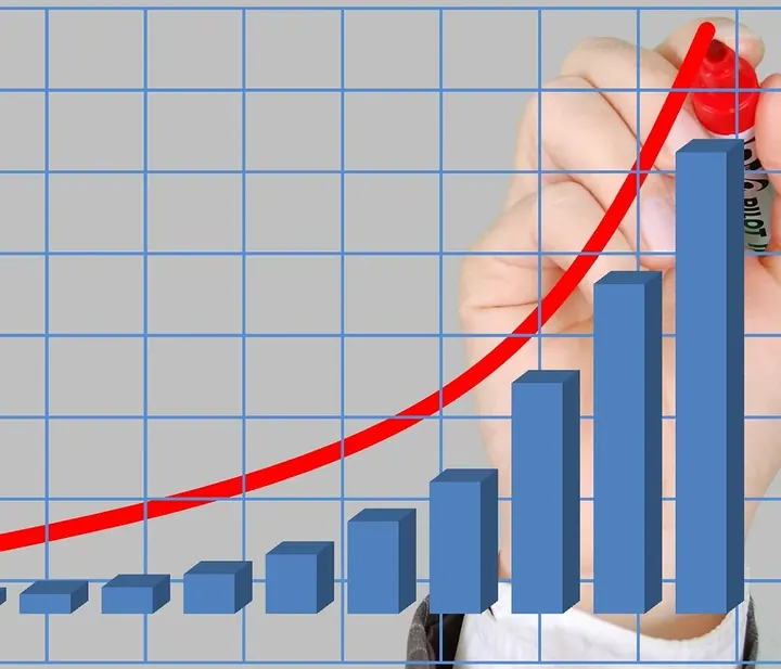 Growing Your Consulting or Professional Services Business Too Fast Can Break Your Business