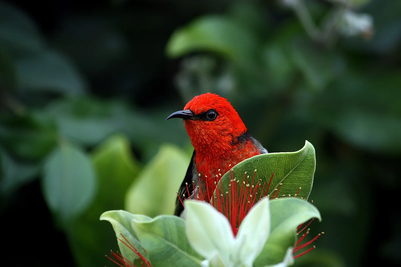 Stand Out in the Online Jungle…17 Ways to Fast-Track Your Professional Influence, Attract High-End Clients and Raise Your Income